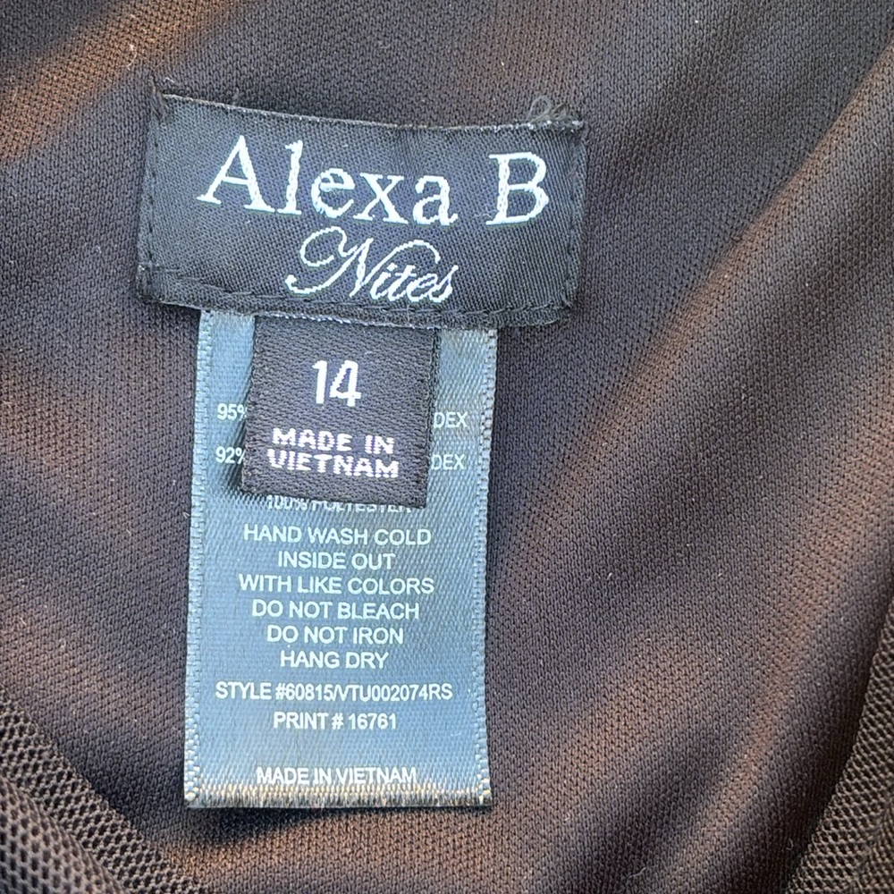 Alexa B Lace Mesh Maxi Dress Sequins V-neck Witchy Whimsigoth Goth Fairy Sz 14 - Picture 9 of 11